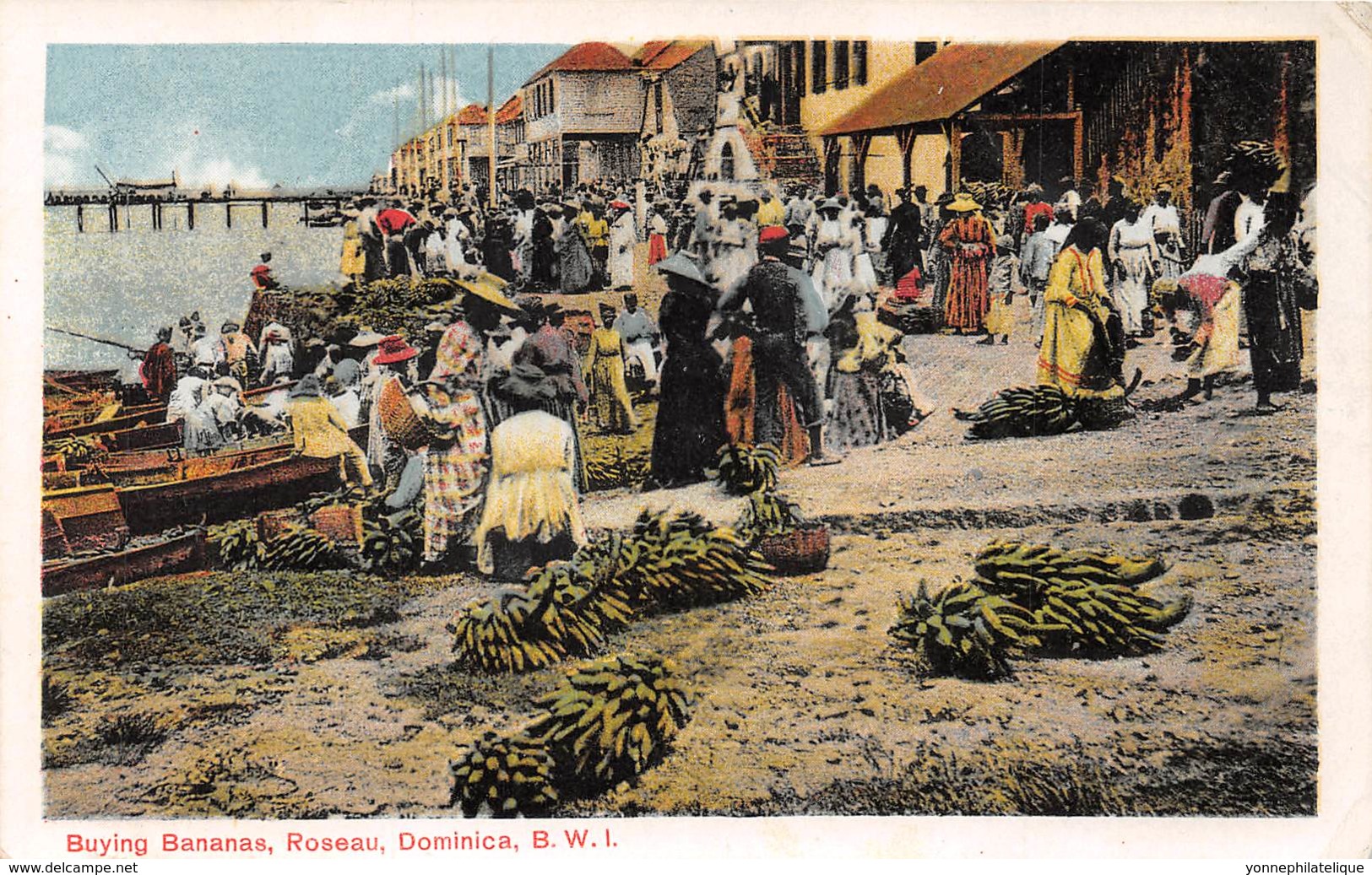 Dominique / 11 - Buying Bananas - Roseau - Dominica