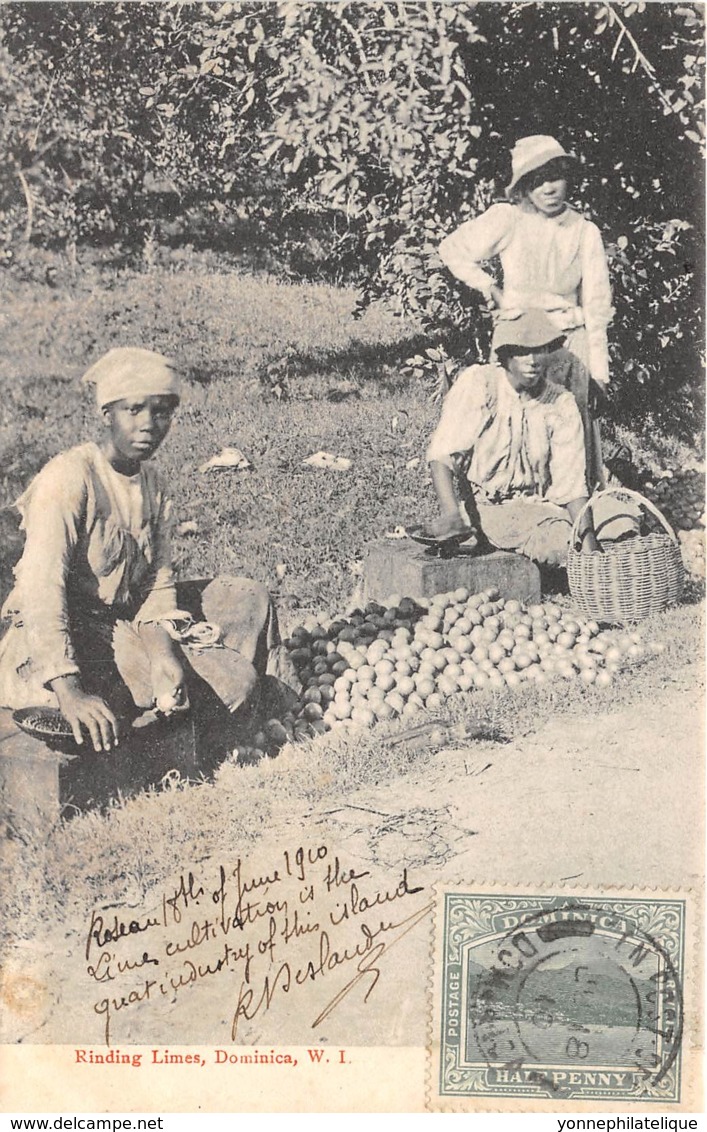 Dominique / 16 - Rinding Limes - Belle Oblitération - Défaut - état - Décollée - Dominique