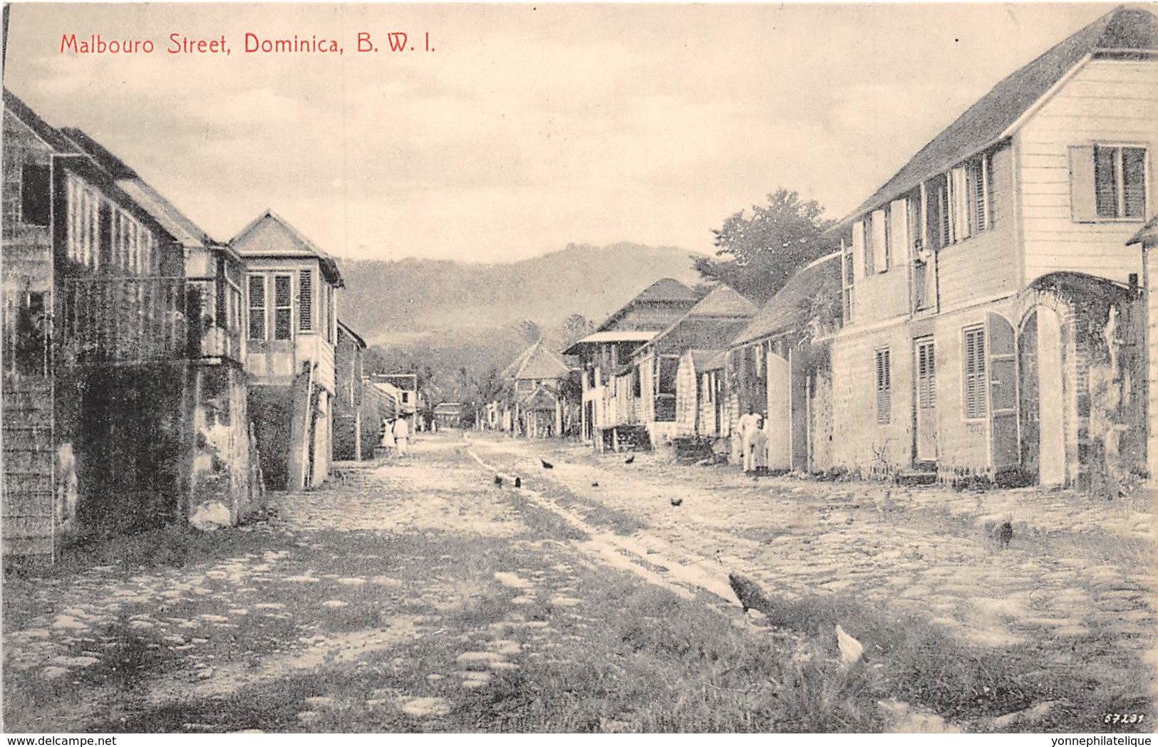 Dominique / 17 - Malbouro Street - Dominique