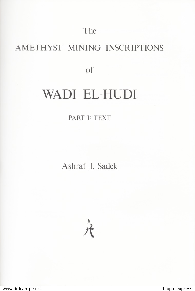 Egypt: The Amethyst Mining Inscriptions Of Wadi El-Hudi - Andere & Zonder Classificatie