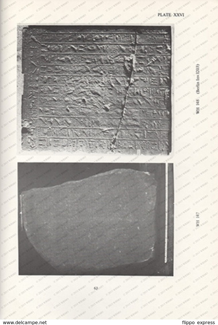 Egypt: The Amethyst Mining Inscriptions Of Wadi El-Hudi - Autres & Non Classés