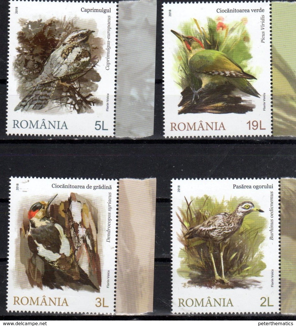 ROMANIA, 2018, MNH, BIRDS,MASTERS OF CAMOUFLAGE,  WOODPECKERS, 4v - Other & Unclassified