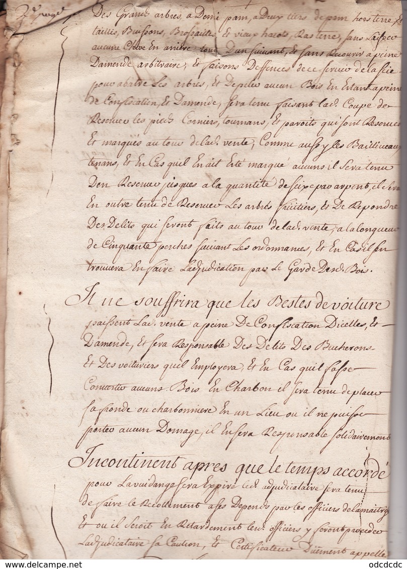Gen D'Auch 1er Fev 1736 Cahier Des Charges Vente Du Quart En Reserve Du Bois D'Izaut Eaux Et Forets St Gaudens (8 Scans - Seals Of Generality
