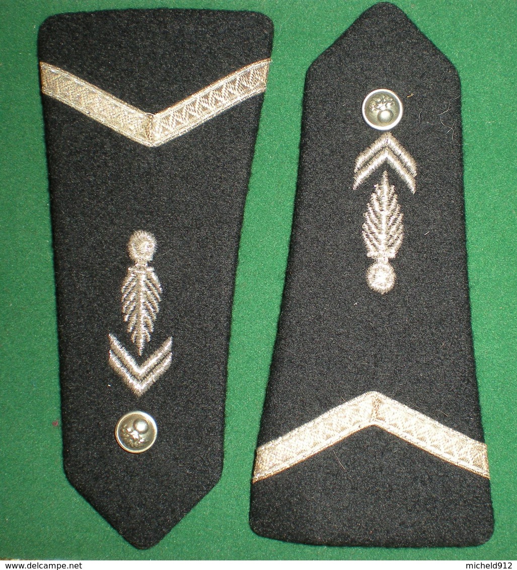 PAIRE EPAULETTES GENDARME DEPARTEMENTAL - Police & Gendarmerie