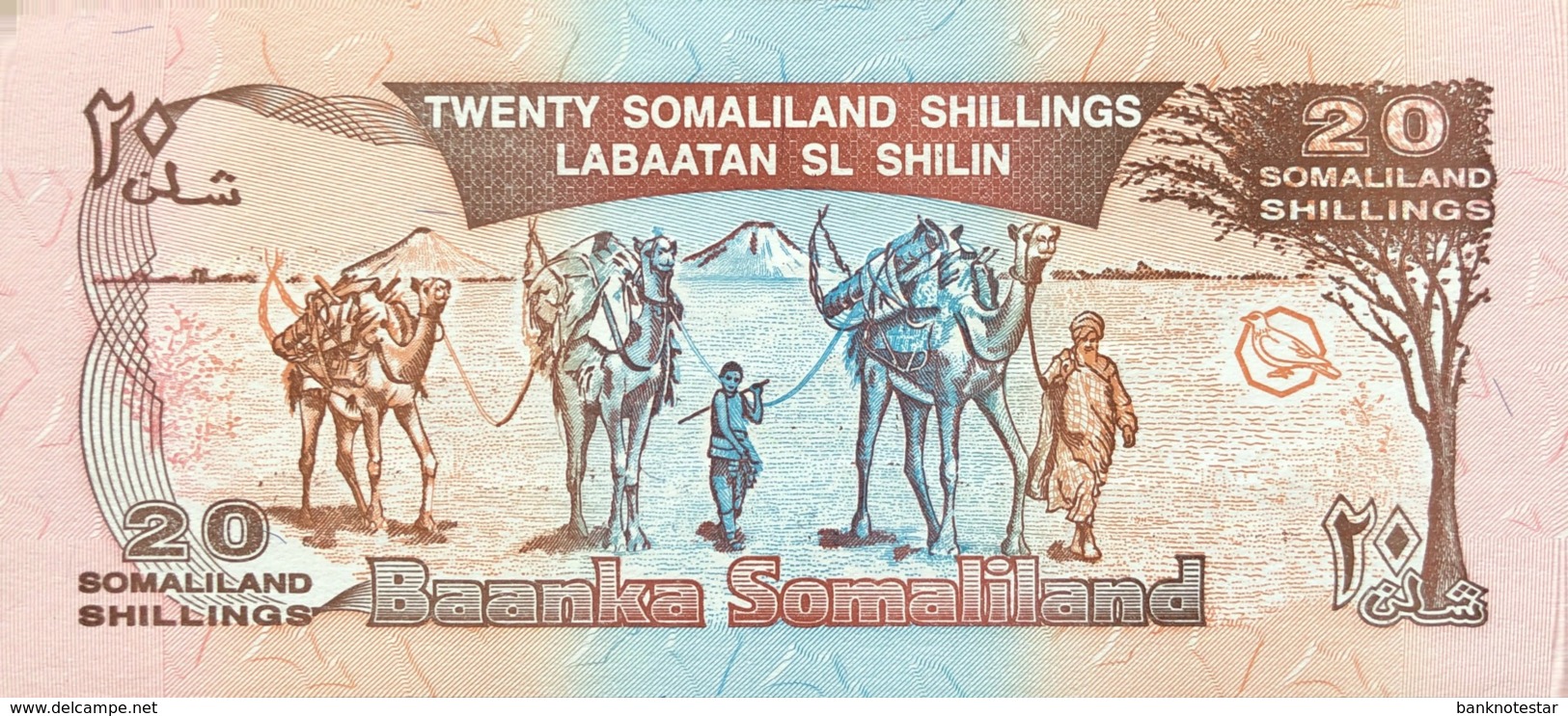 Somaliland 20 Shilin, P-10 (1994/1996) - UNC - Bronze Overprint - Somalie