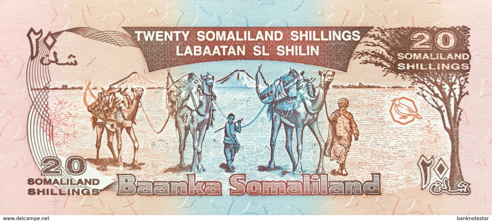 Somaliland 20 Shilin, P-16 (1994/1996) - UNC - Silver Overprint - Somalia