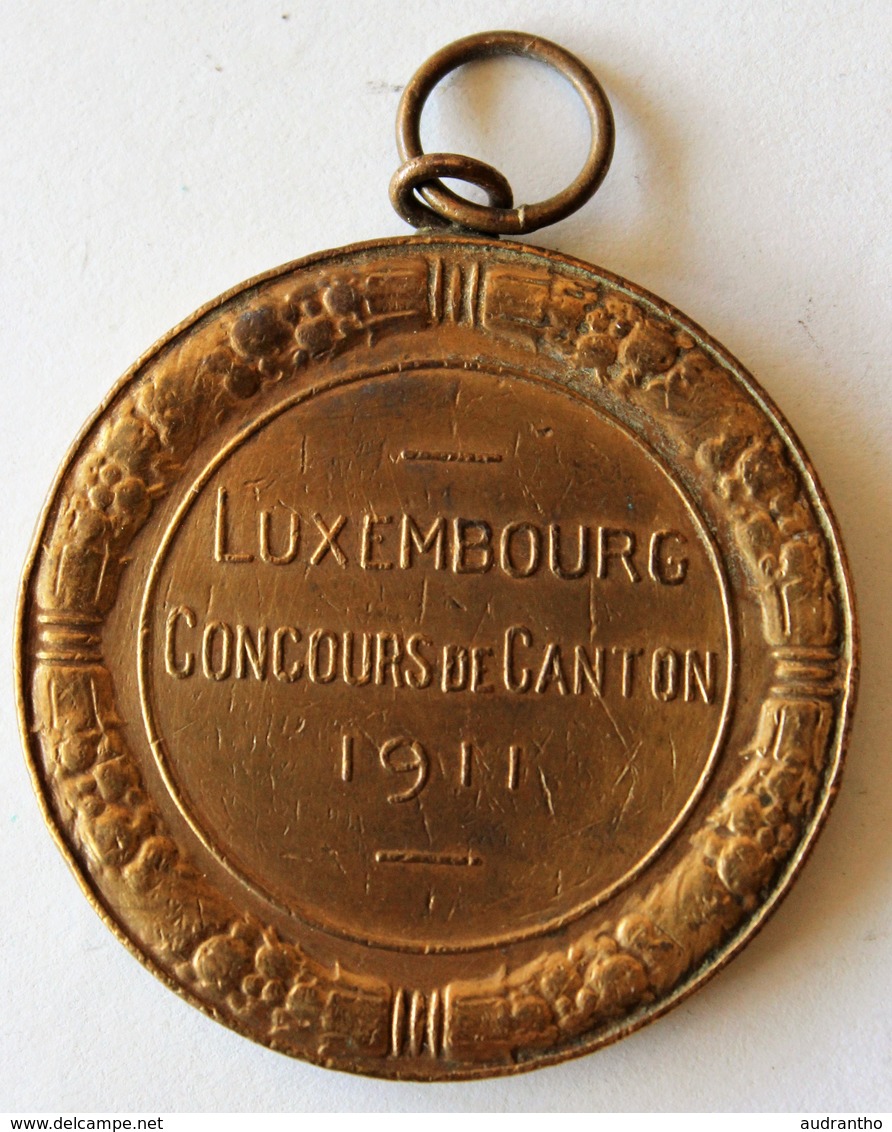 Médaille 1911 Royaume De Belgique Amélioration Race Bovine Luxembourg Concours De Canton Koninkrijk Belgie - Autres & Non Classés