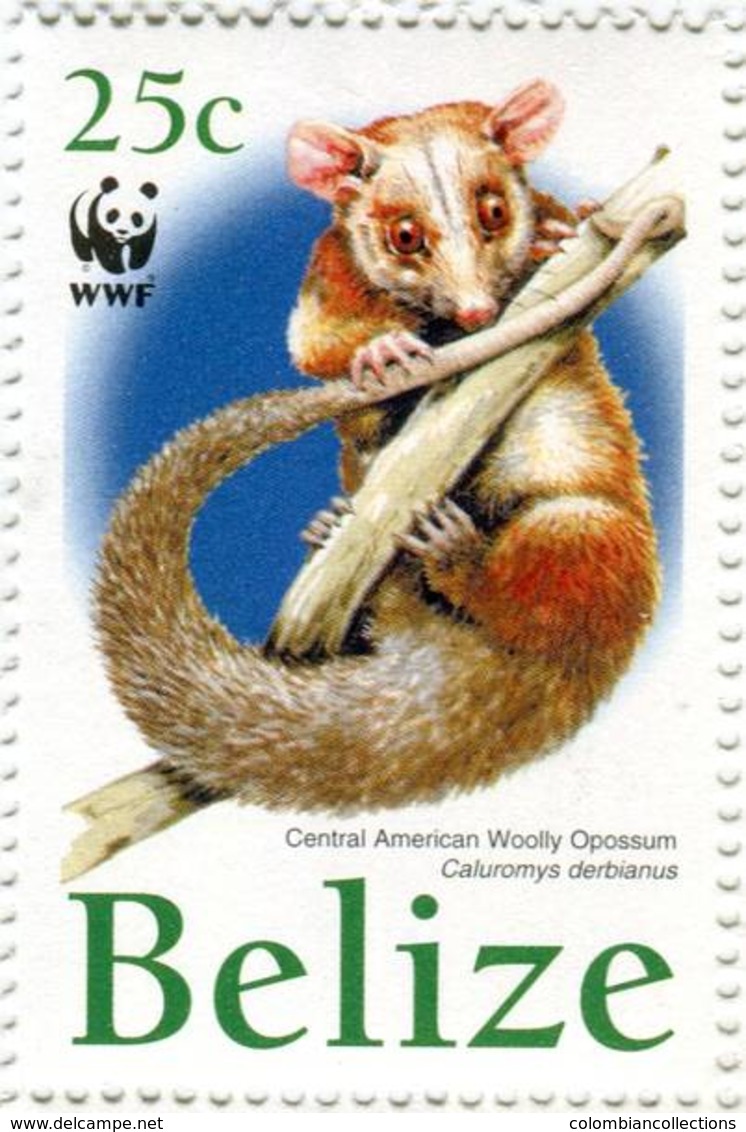 Lote Be12, Belize, 2004, Sello, Stamp, 4v, WWF – Central American Woolly Opossum - Belice (1973-...)