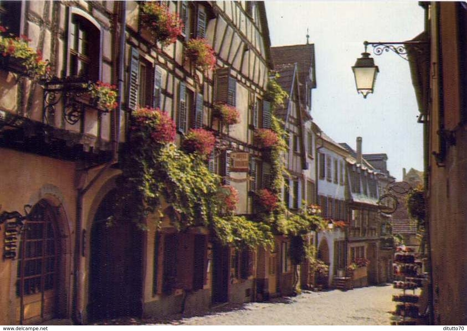 Riquewihr - Alsace - Les Vielles Maisons Fleuries De La Dand'rue - Formato Grande Non Viaggiata – E 9 - Altri & Non Classificati