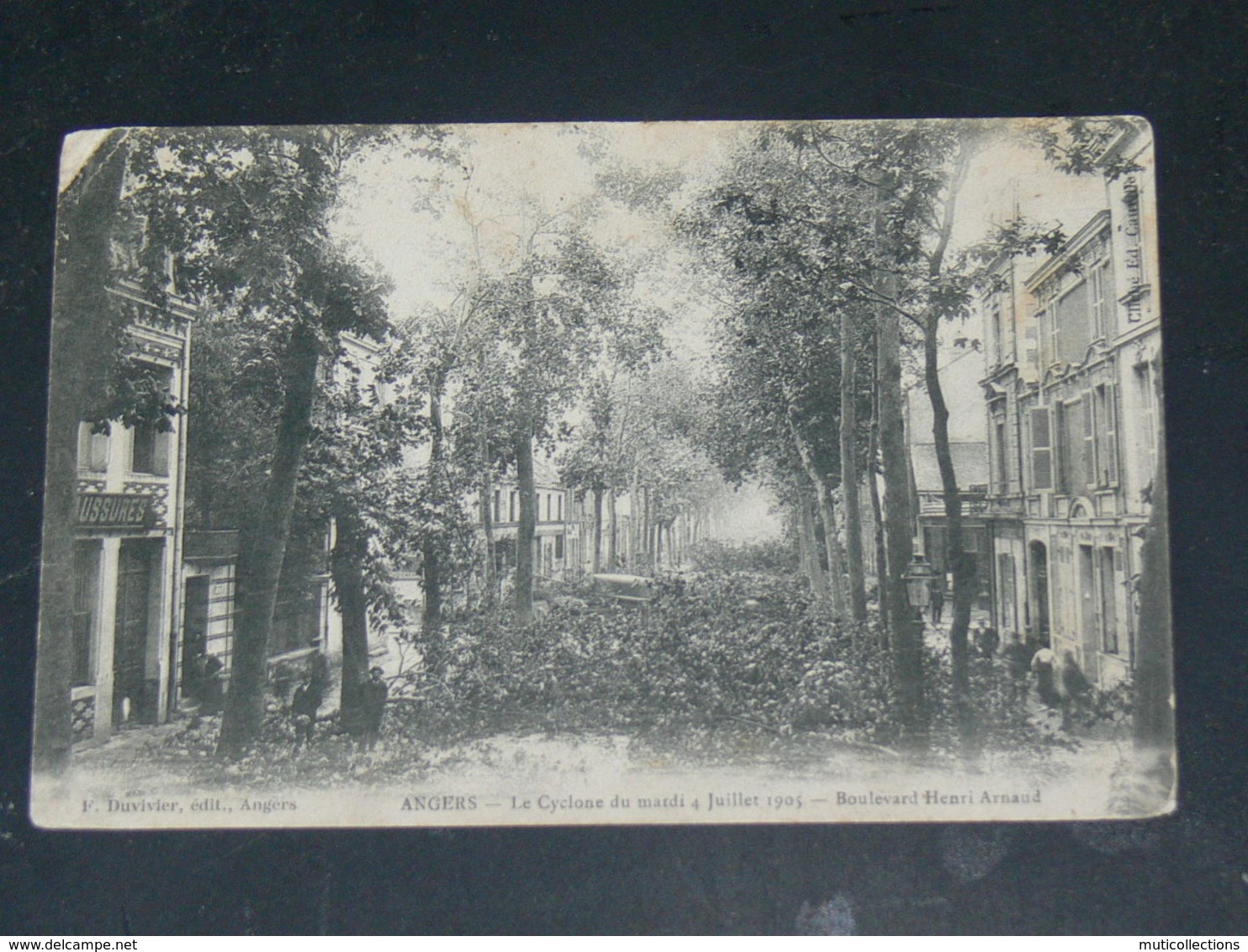 ANGERS   1905   CYCLONE SUR BOULEVARD   / CIRC /  EDITION - Angers