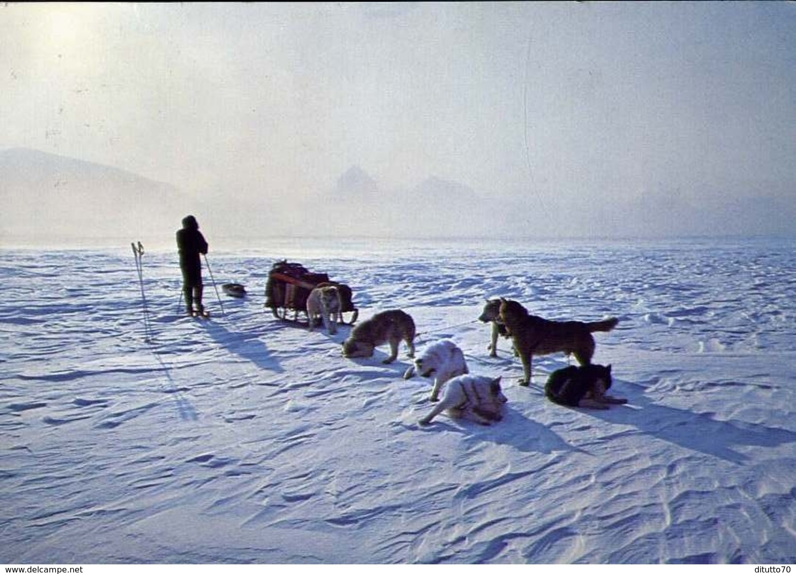 Svalbard - Hundekobbel Med Forer Over Innlandsisen - Norway - Formato Grande Viaggiata Mancante Di Affrancatura – E 9 - Altri & Non Classificati