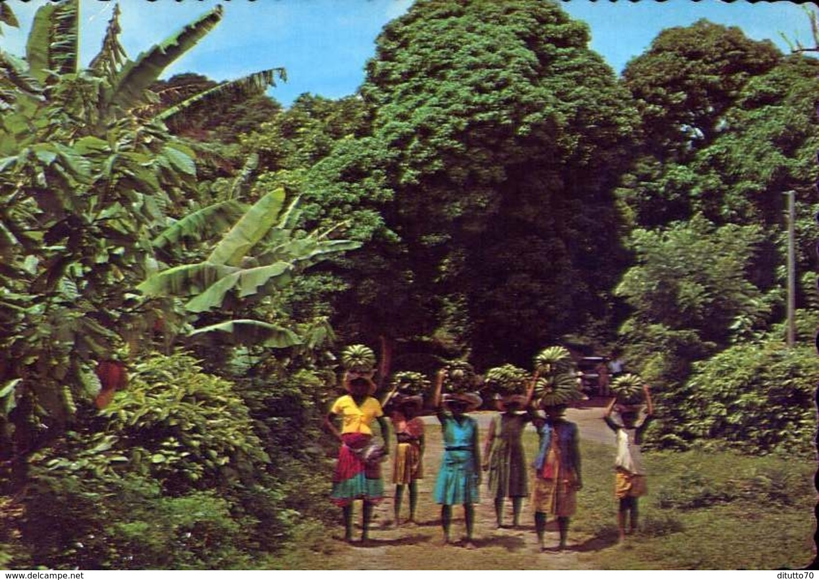 The Tropical Caribbean - Bananas On The Way To Market - Formato Grande Viaggiata Mancante Di Affrancatura – E 9 - Altri & Non Classificati