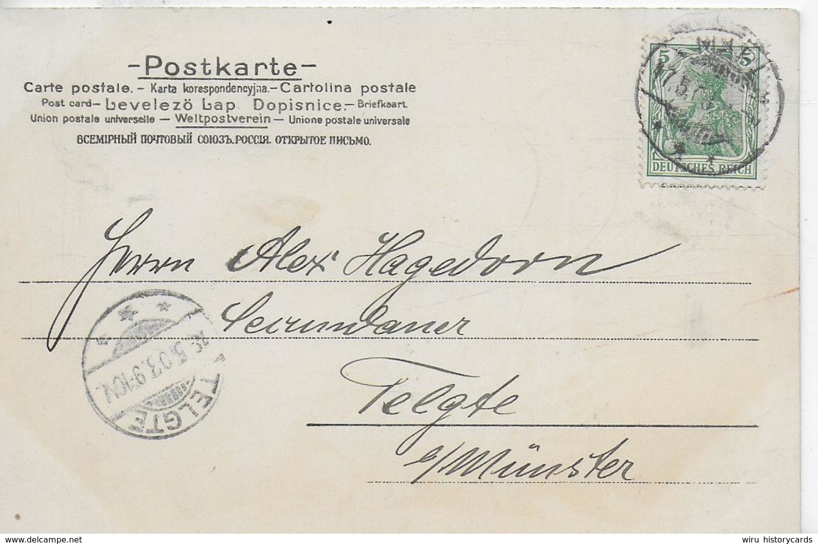 AK 0116  Schwäne , Margeriten - Gruss-Karte Um 1903 - Blumen