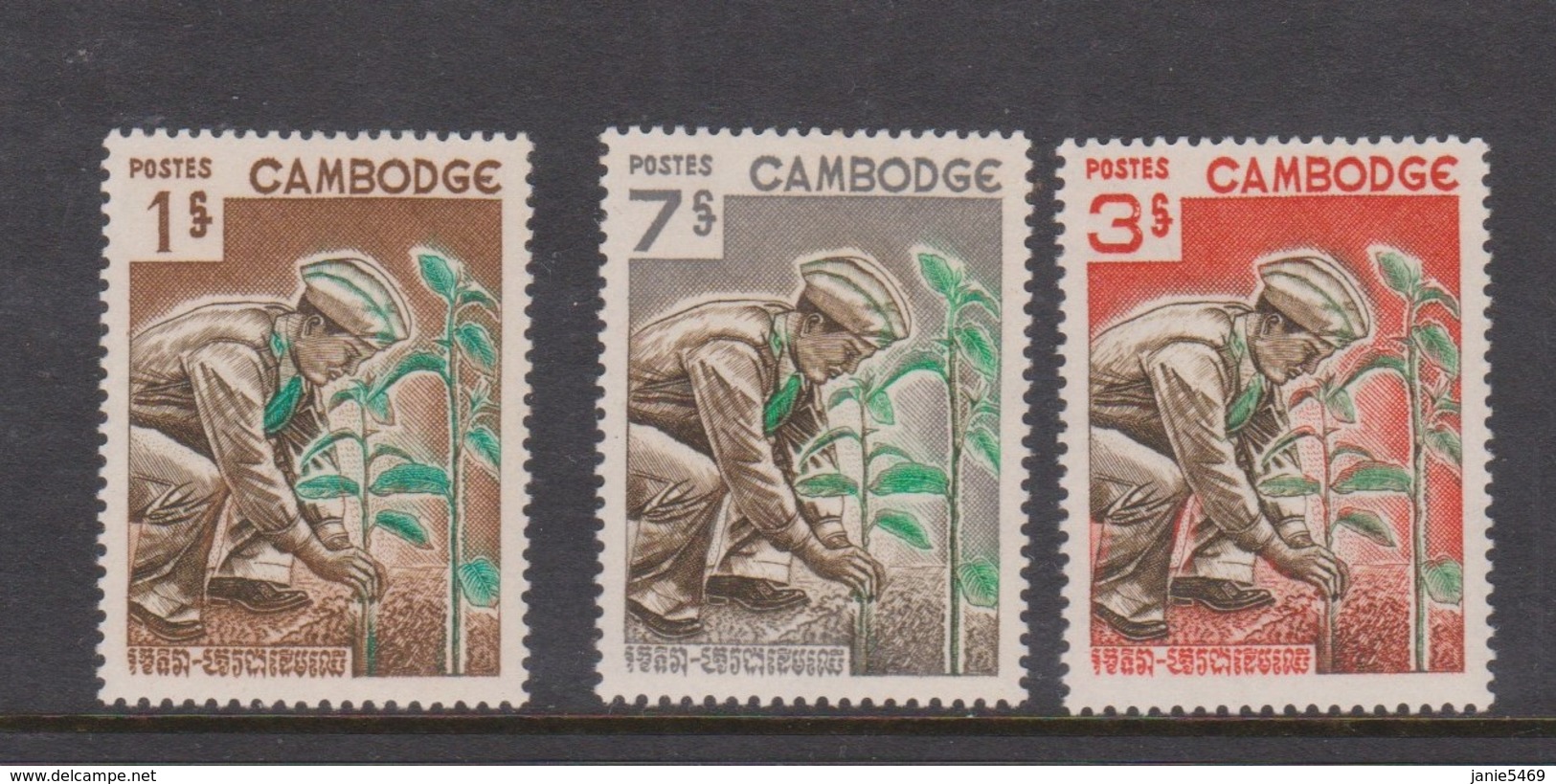 Cambodia SG 199-201 1966 Tree Day ,mint Never Hinged - Cambodia