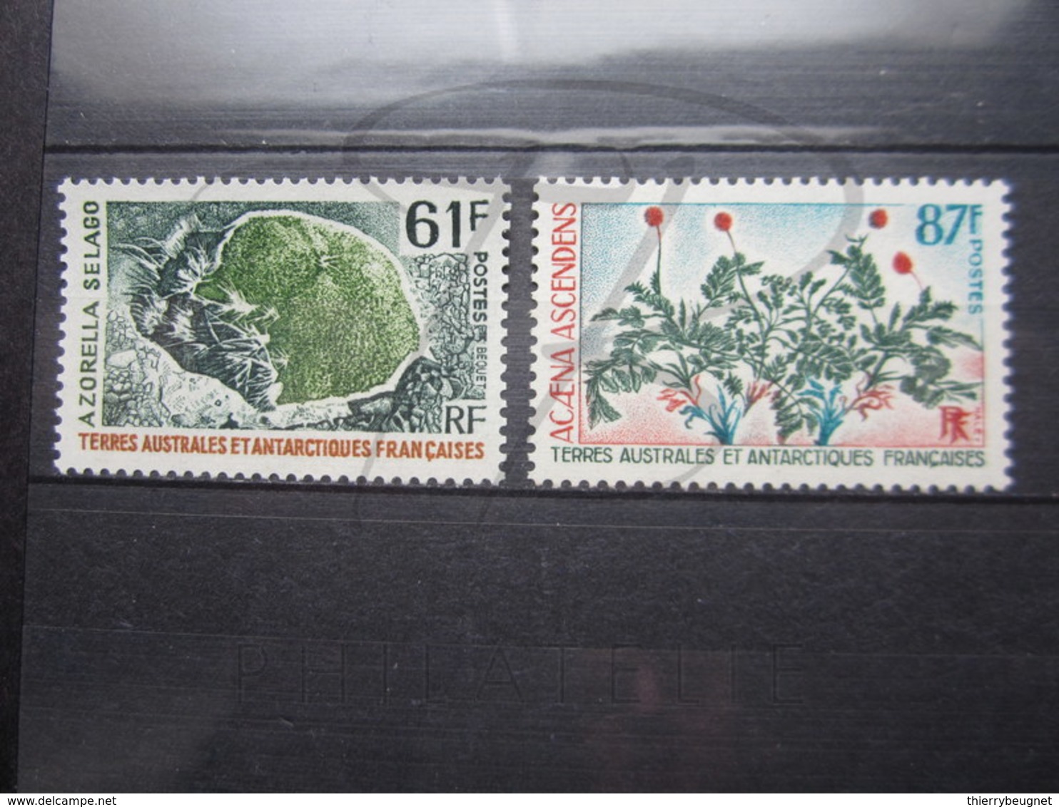 VEND BEAUX TIMBRES DES T.A.A.F. N° 52 + 53 , XX !!! - Unused Stamps