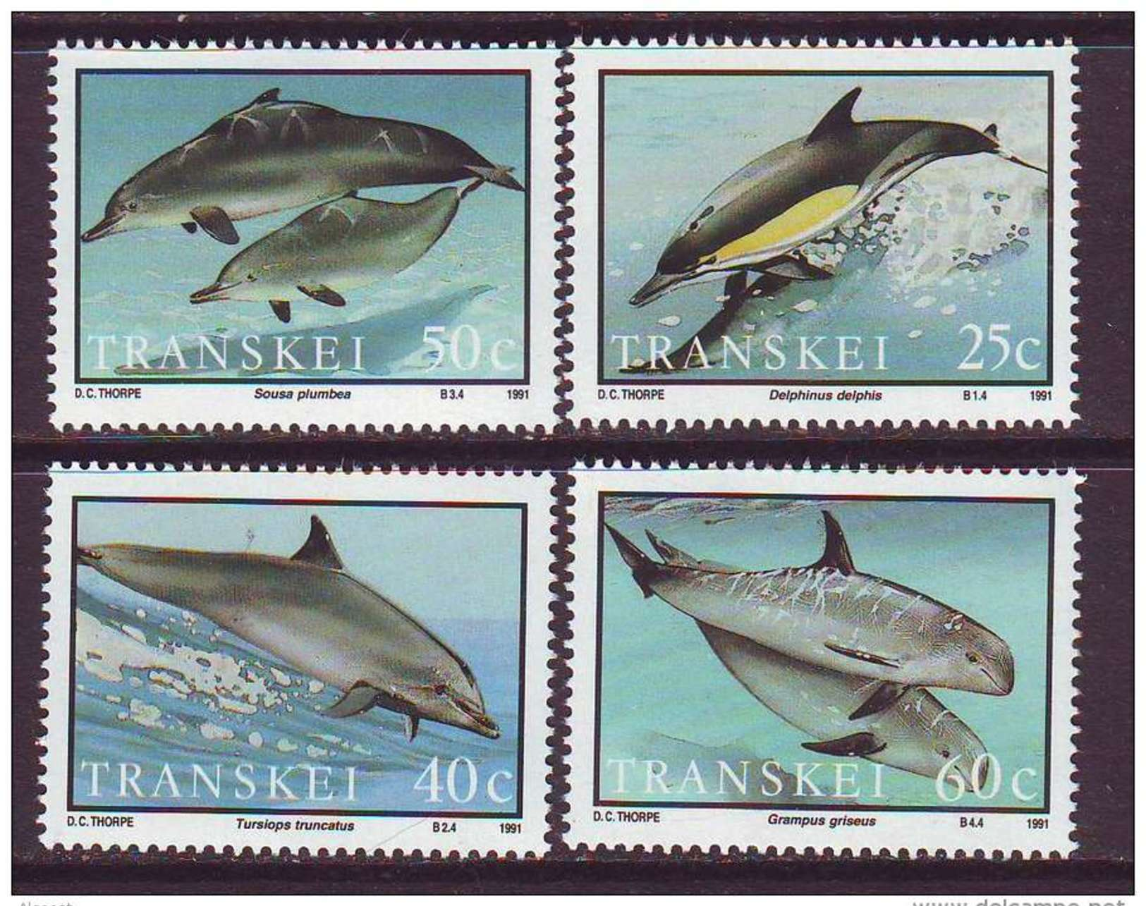 D101225 Transkei 1991 South Africa SEA MAMMALS DOLPHINS MNH Set - Afrique Du Sud Afrika RSA Sudafrika - Transkei