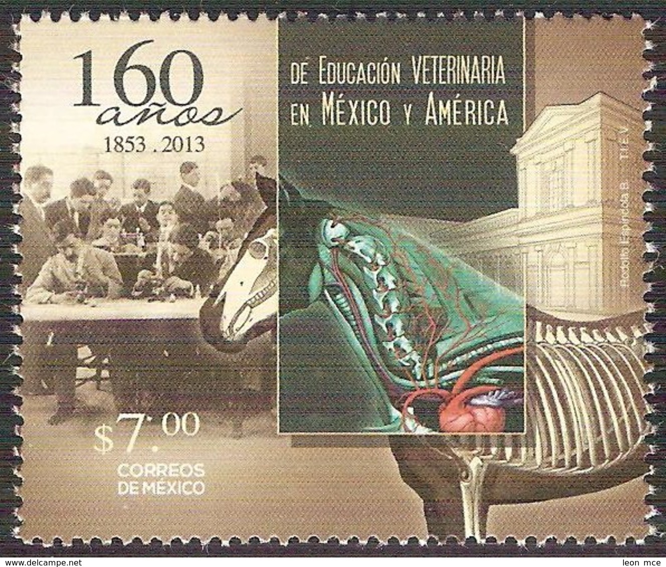 2013 México VETERINARIA Caballo/ 160 Years Of Veterinary Education In Mexico / Horse Stamp MNH - México