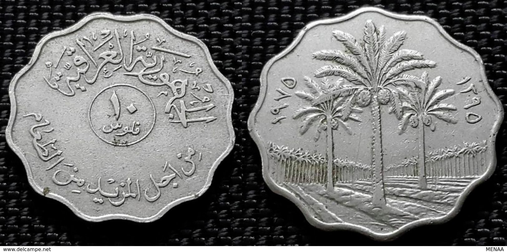 IRAQ - 10 Fils - 1975 - KM 142  - FAO - V Rare - Iraq