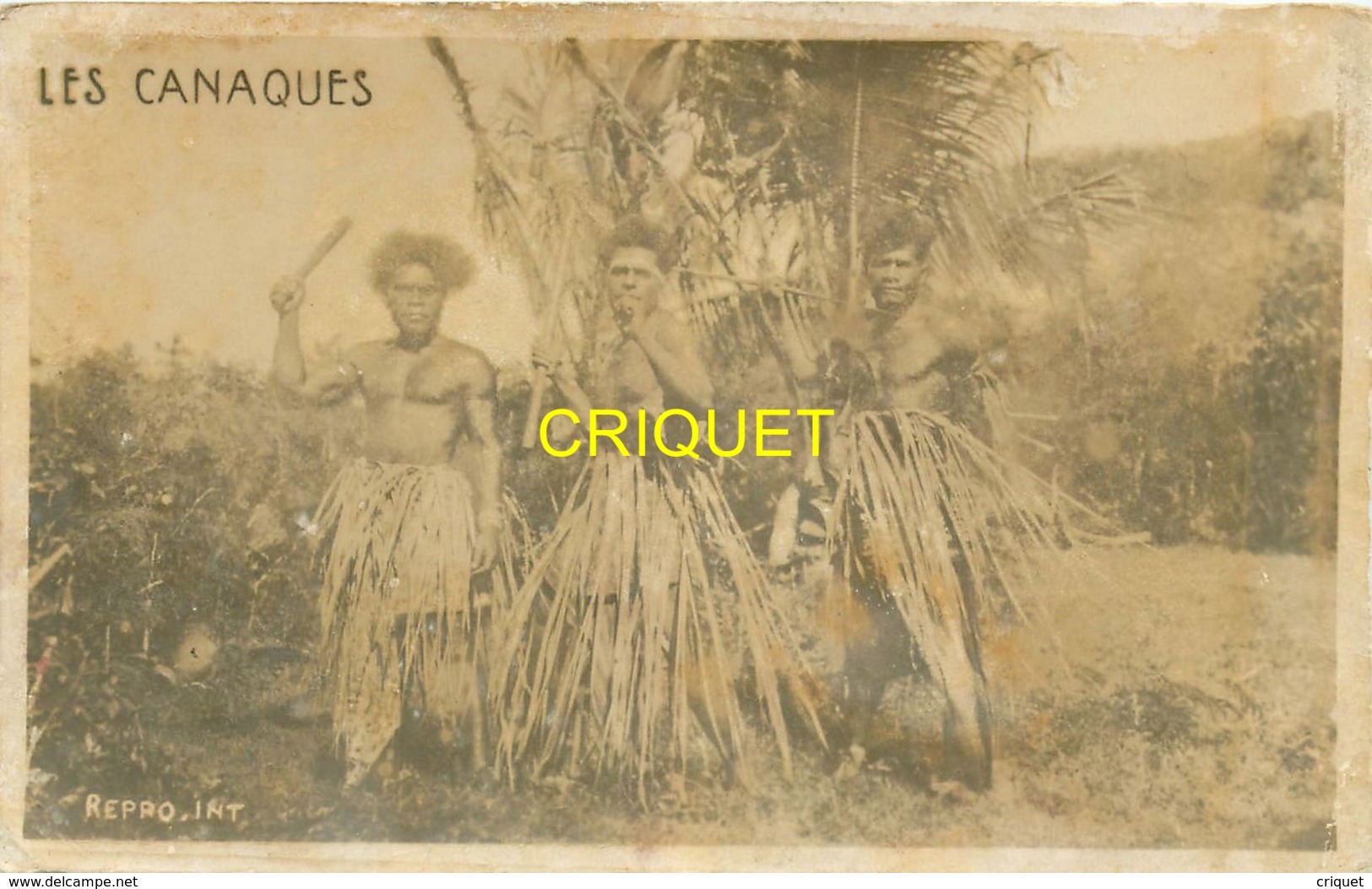 Nouvelle Calédonie, Carte Photo De 3 Canaques En Tenue Traditionnelle, Beau Document - Nouvelle Calédonie