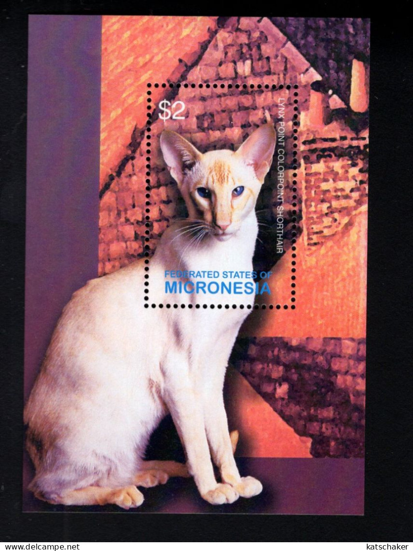 693371017 MICRONESIA POSTFRIS MINT NEVER HINGED POSTFRISCH EINWANDFREI SCOTT 574 LYNX POINT COLORPOINT SHORTHAIR CATS - Micronésie