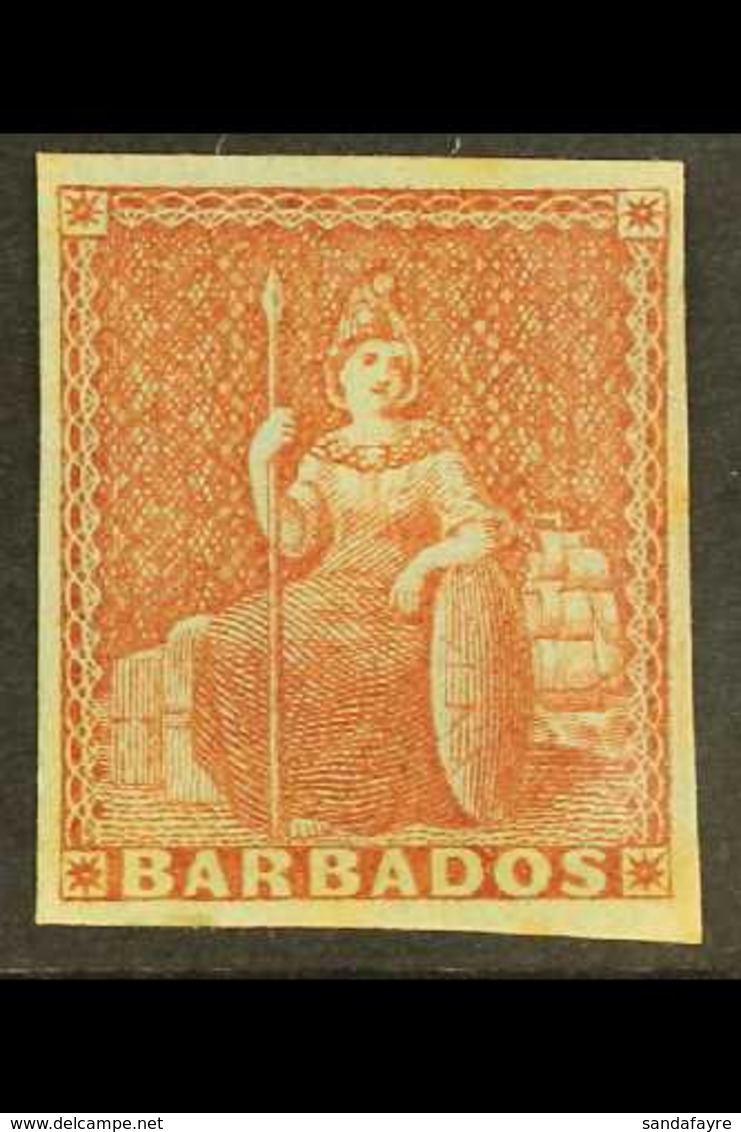 BARBADOS - Barbados (...-1966)