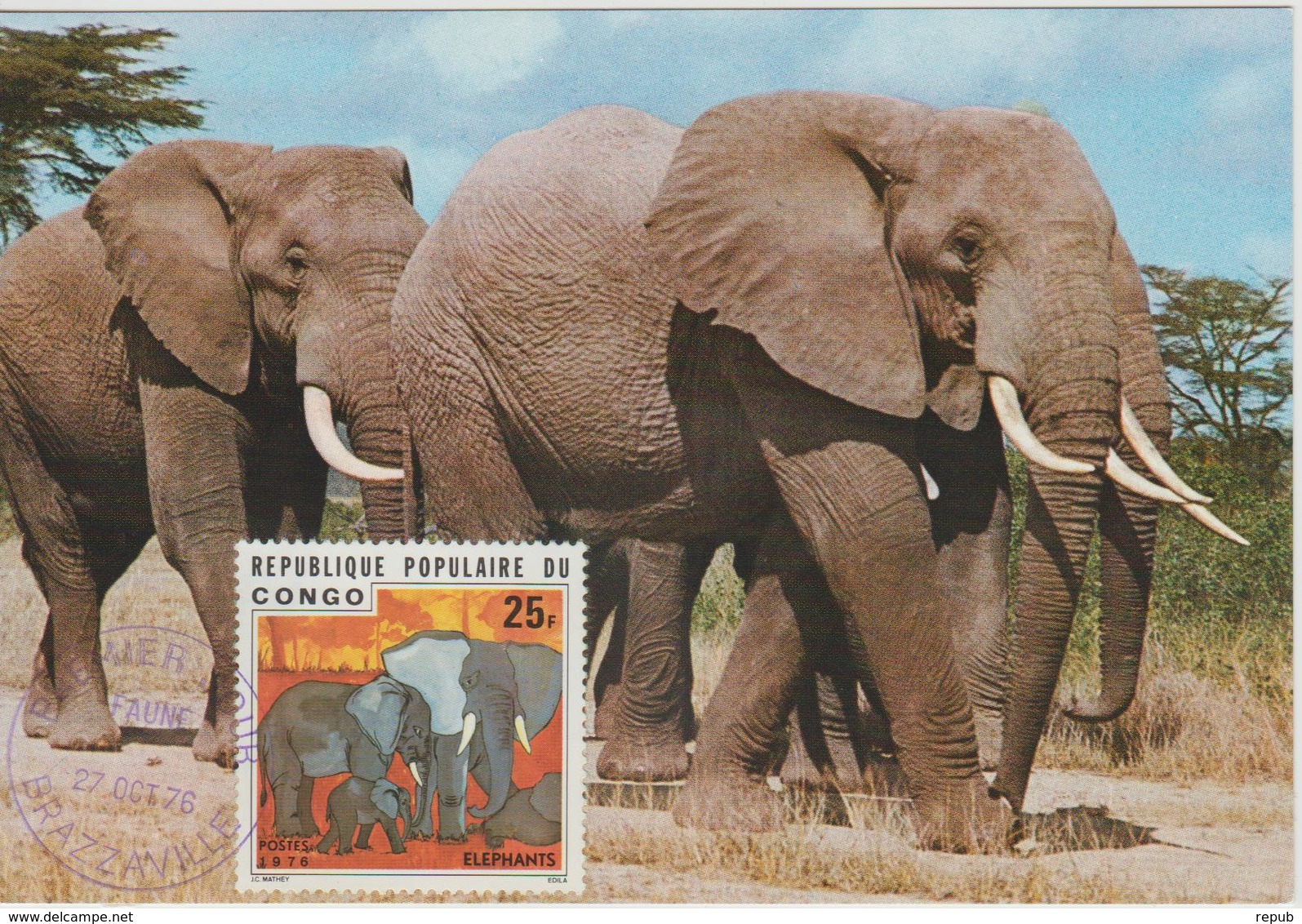 Congo Carte Maximum  Animaux 1976 Eléphants 421 - Autres & Non Classés