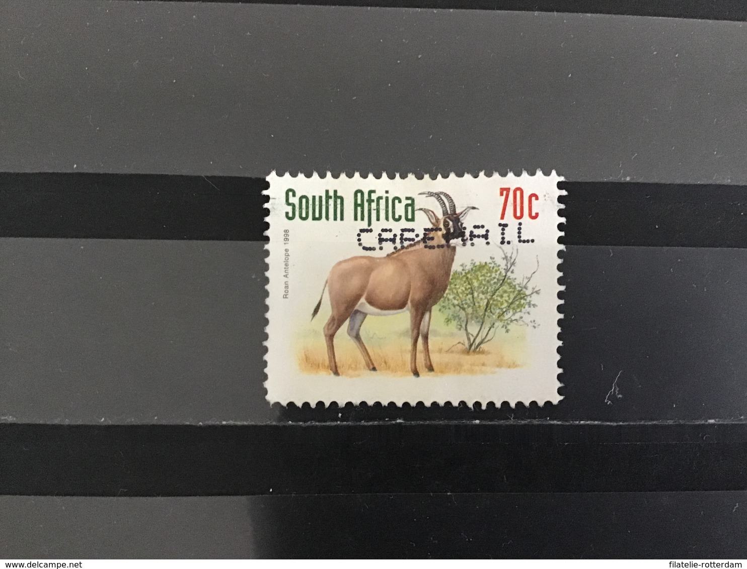 Zuid-Afrika / South Africa - Bedreigde Dieren (70) 1998 - Gebruikt