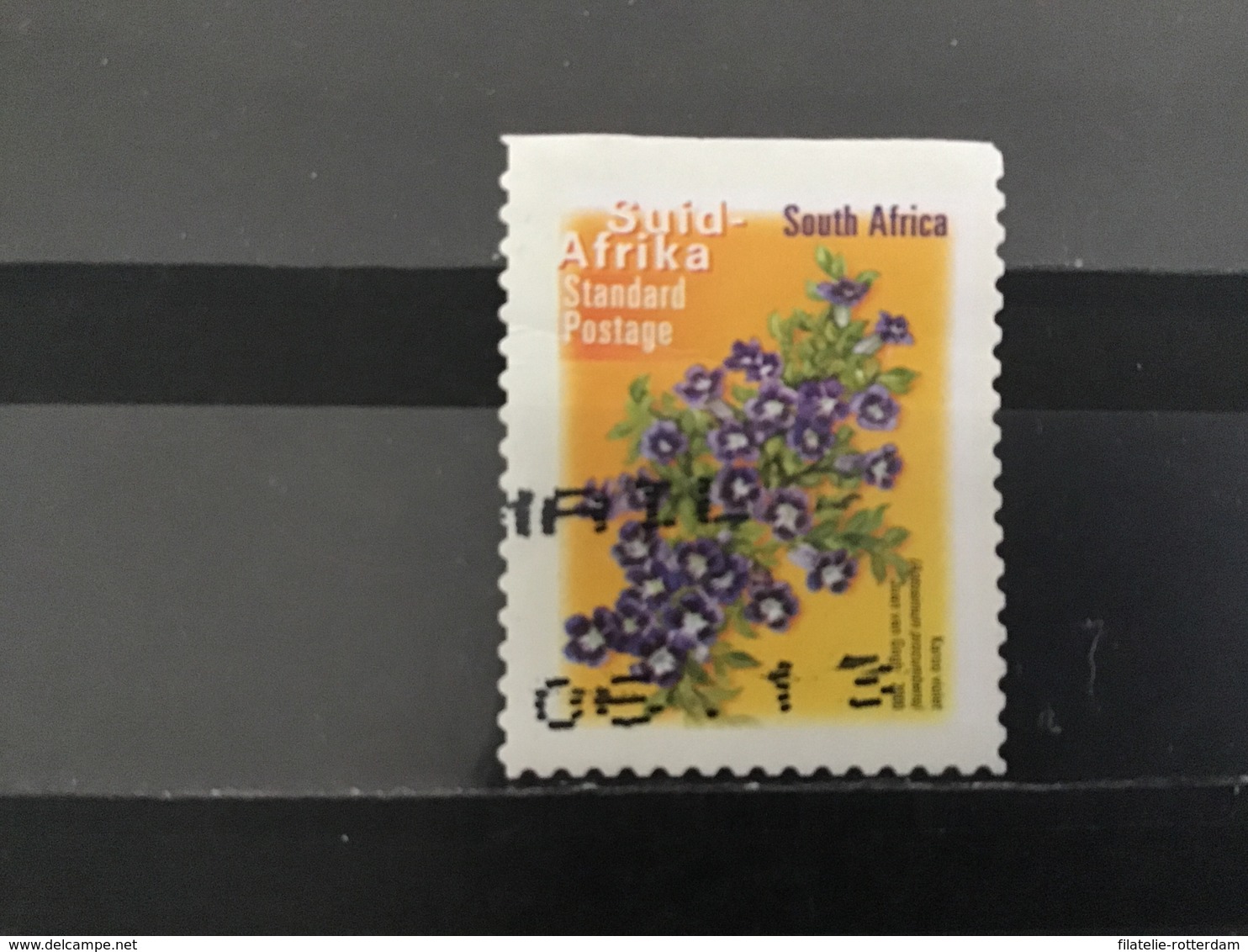 Zuid-Afrika / South Africa - Bloemen (Suid-Afrika) 2000 - Gebruikt