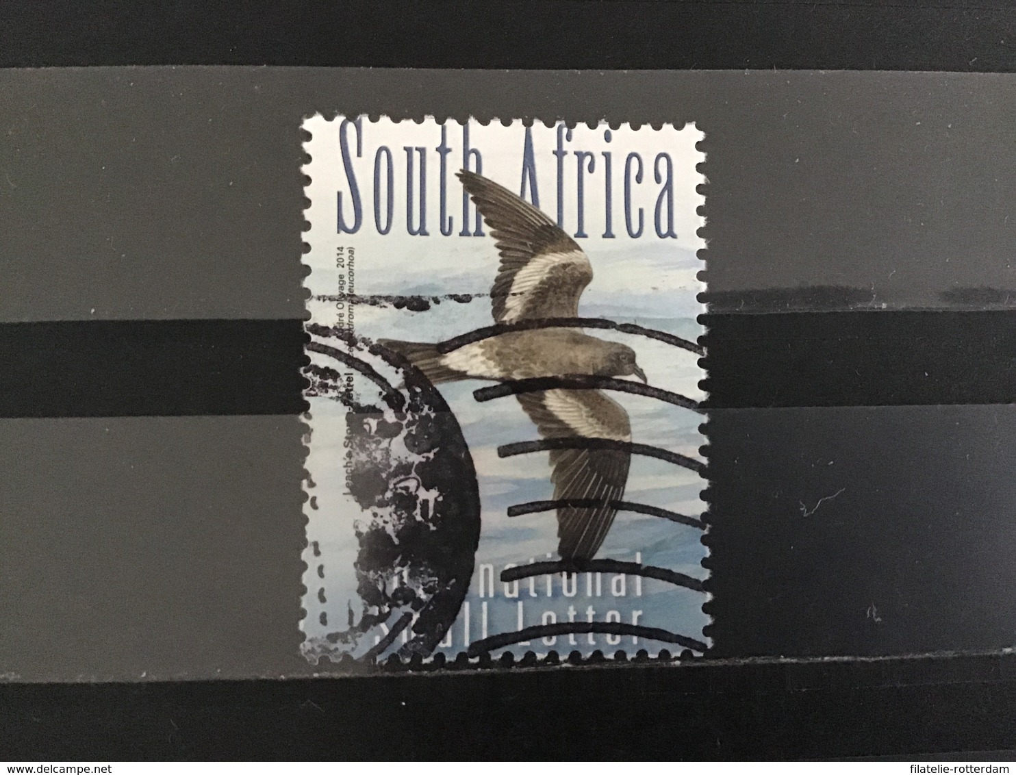 Zuid-Afrika / South Africa - Vogels 2014 - Usados