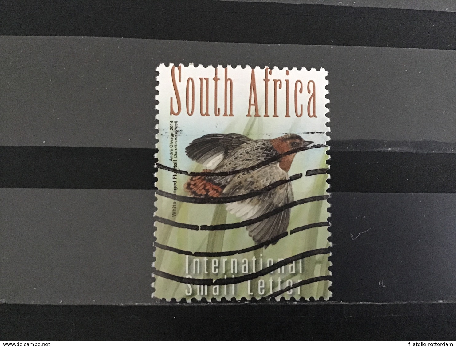 Zuid-Afrika / South Africa - Vogels 2014 - Gebruikt