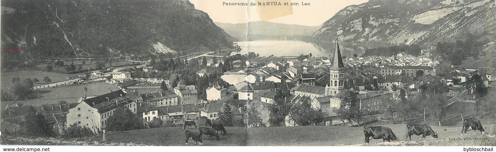 CPA 01 Ain Carte Double Panorama De Nantua Et Son Lac Non Circulée - Nantua