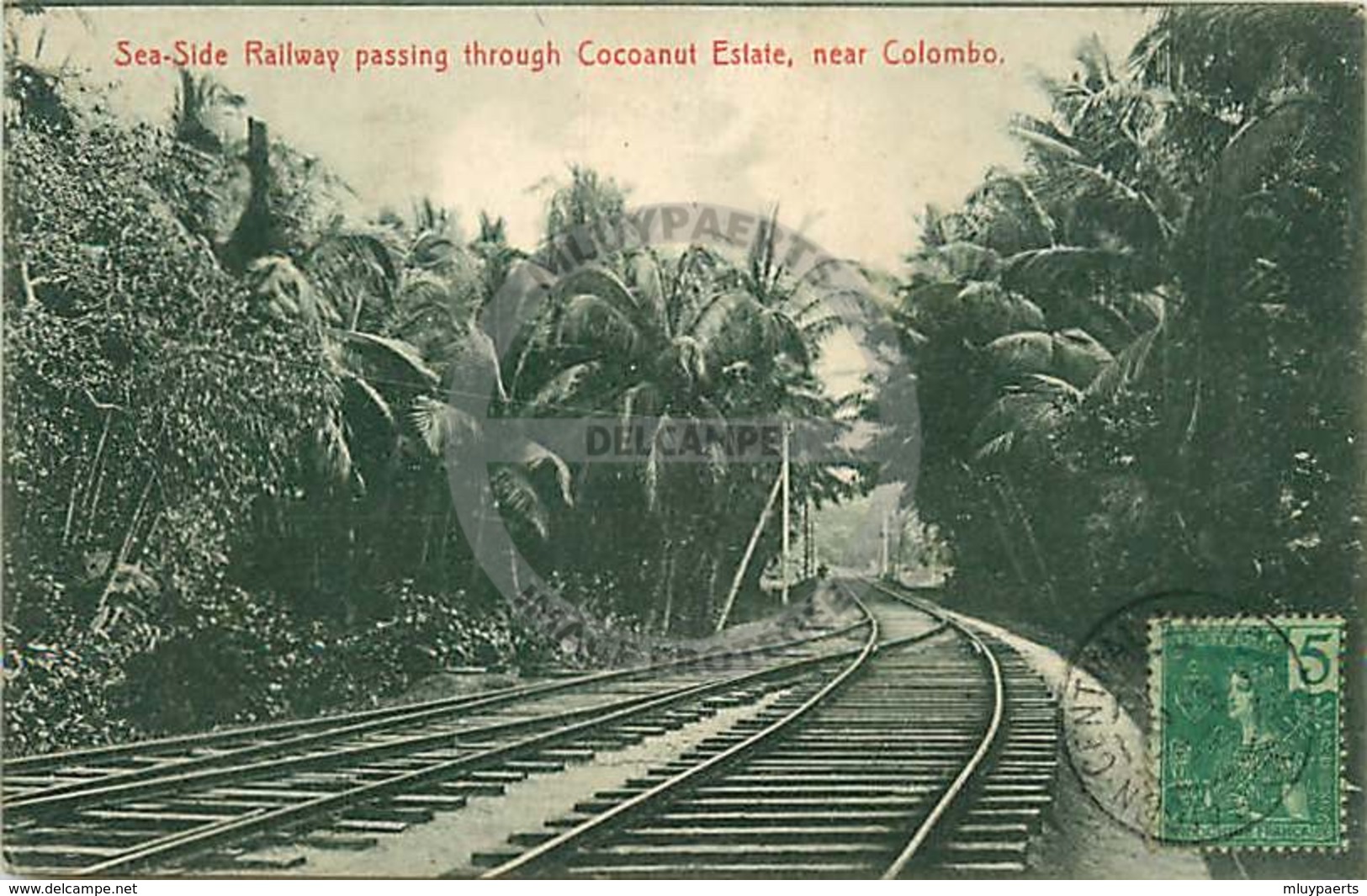 /!\ 8772 - CPA/CPSM - Sri Lanka, Ceylan : Sea-Side Railway Passing Thru Cocoanut Estate - Sri Lanka (Ceylon)
