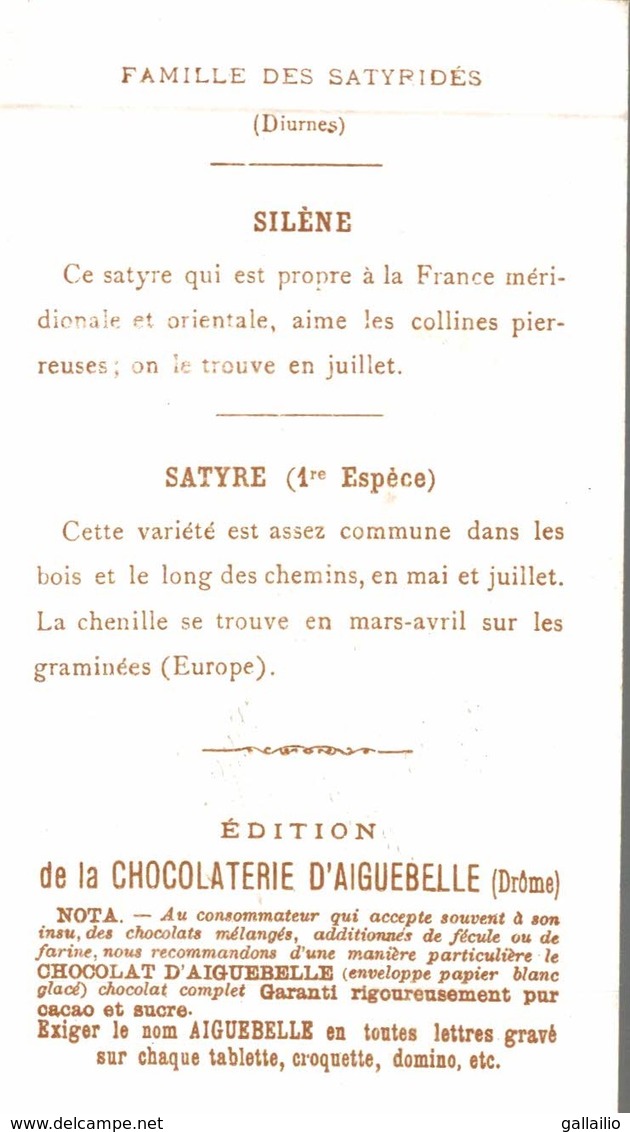 CHROMO CHOCOLAT D'AIGUEBELLE LE MONDE DES PAPILLONS SILENE SATYRE - Aiguebelle