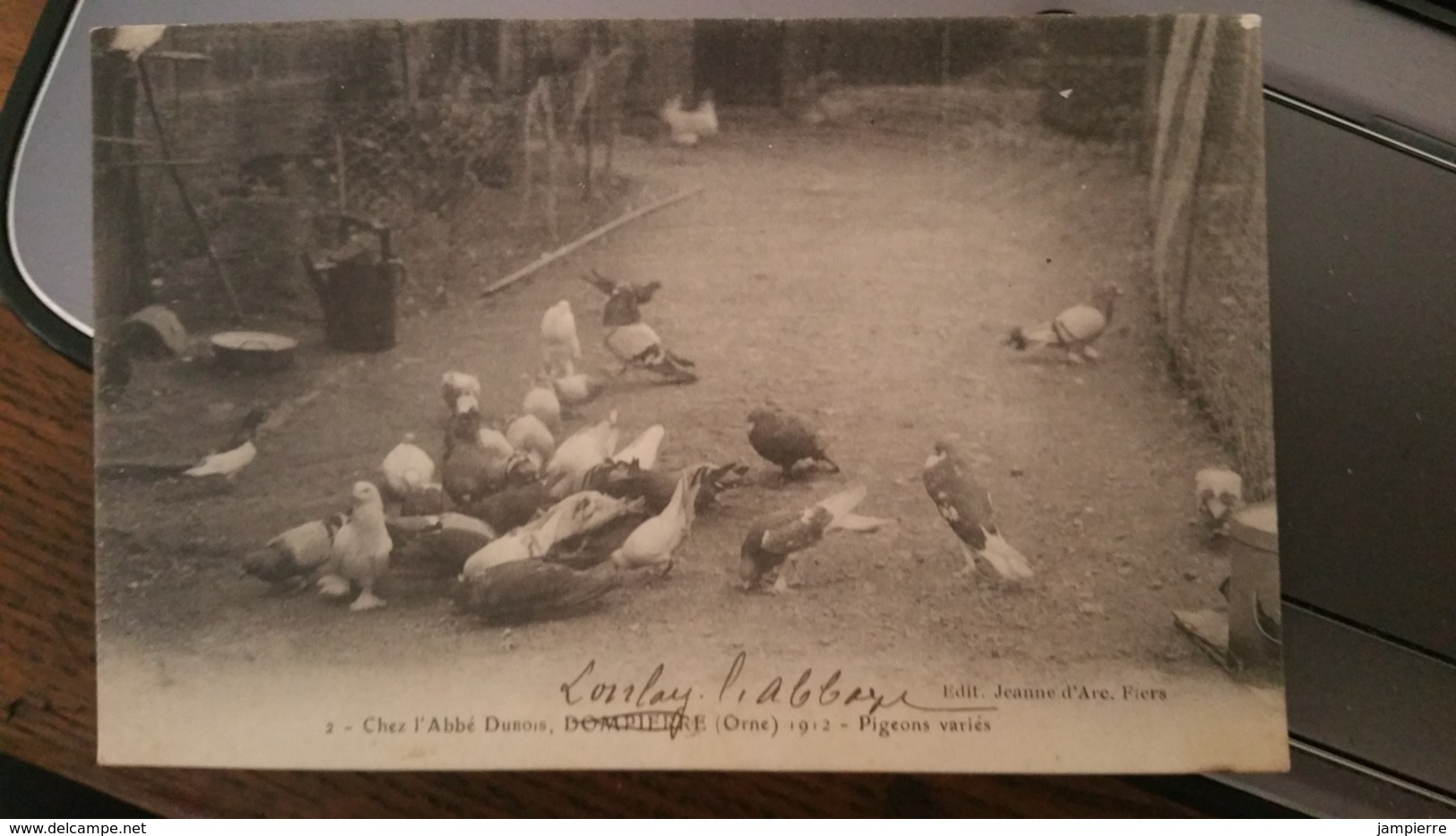 2 - Chez L'Abbé Dubois - Dompierre (Orne) 1912 - Pigeons Variés - Lonlay-l'Abbaye - Autres & Non Classés