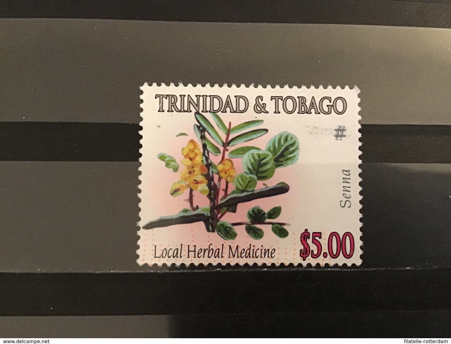 Trinidad & Tobago - Medicinale Planten (5) 2005 - Trinidad En Tobago (1962-...)
