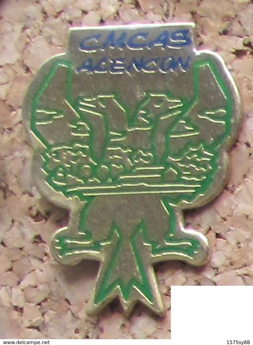 Pin's EDF GDF CMCAS Alençon - EDF GDF