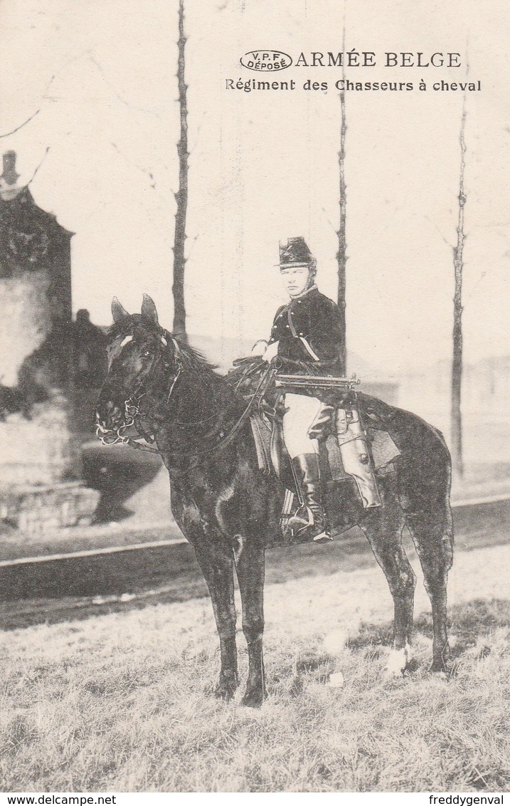 ARMEE BELGE REGIMENT DES CHASSEURS A CHEVAL - Andere & Zonder Classificatie