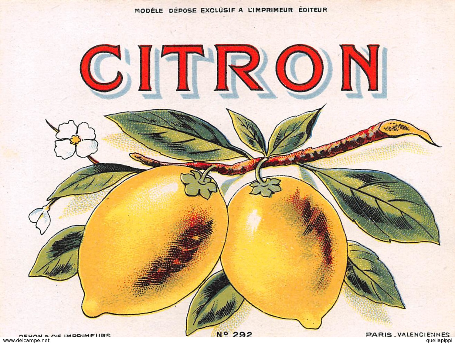 D8966 "SCIROPPO - CITRON - ANNO 1930  ".  ETICHETTA ORIGINALE - Obst Und Gemüse