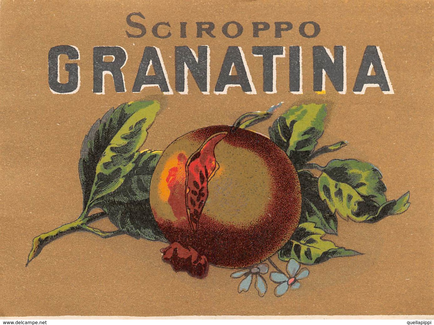 D8969 "SCIROPPO - GRANATINA - FINE XIX SEC."  ETICHETTA ORIGINALE - Fruits Et Légumes
