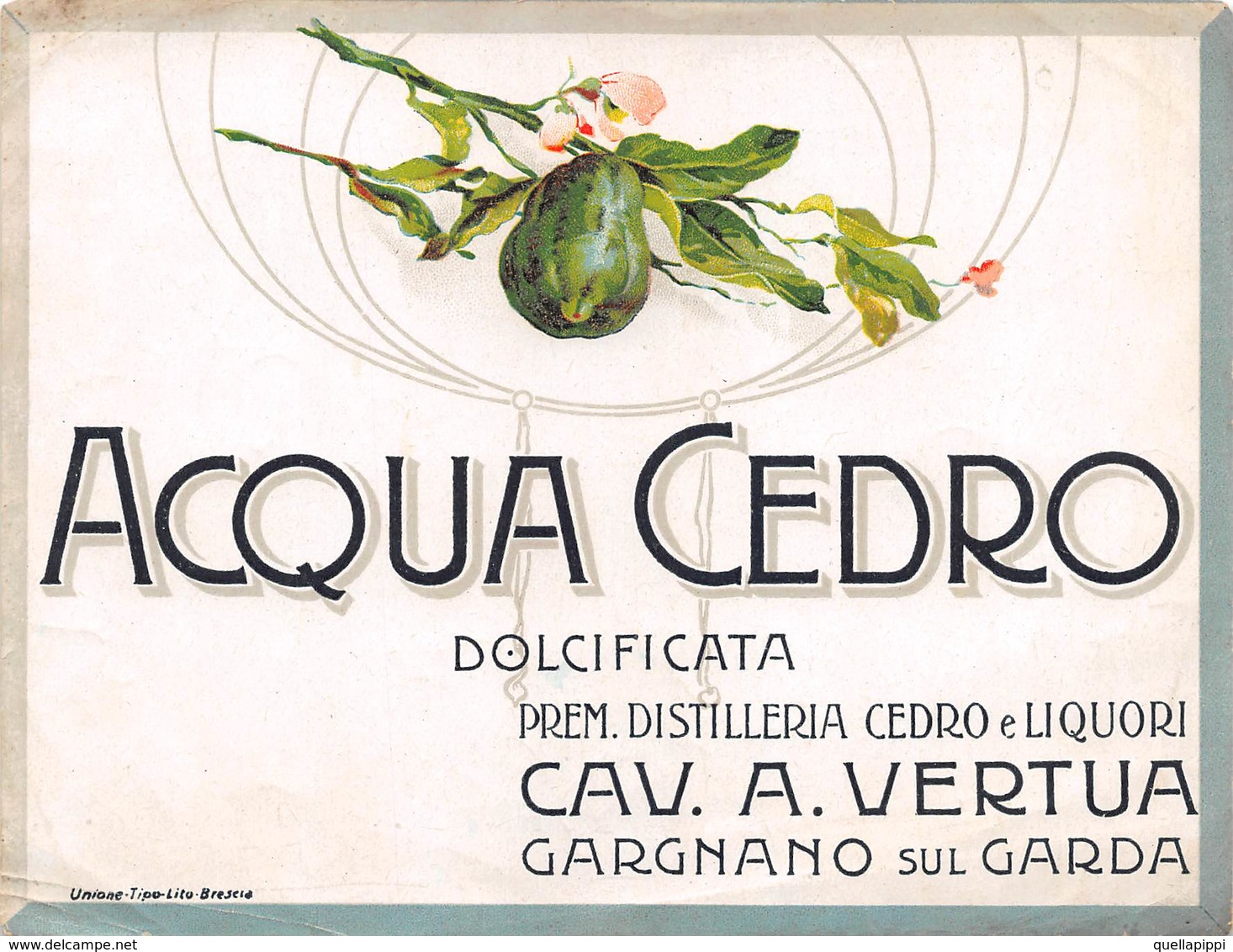 D8972 "SCIROPPO - ACQUA CEDRO  DOLCIFICATA - CAV. A. VERTUA - GARGANO SUL GARDA - 1920 CIRCA"  ETICHETTA ORIGINALE - Frutta E Verdura