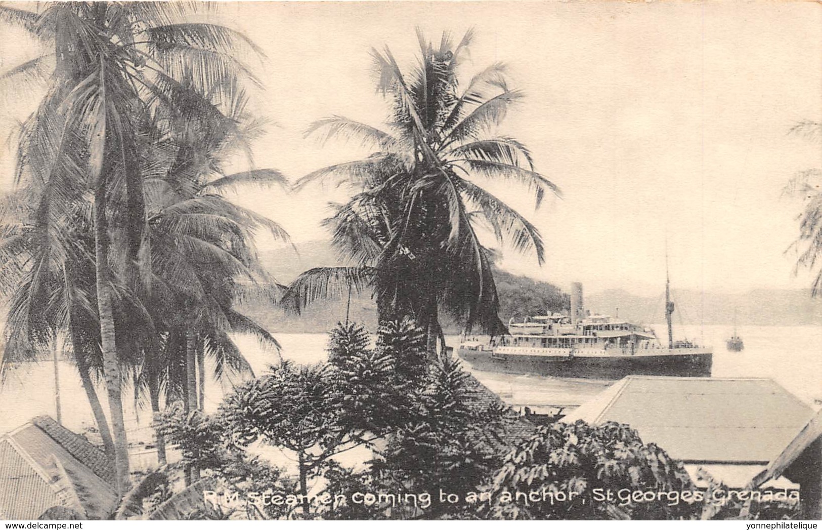 Grenada / 14 - St George's - R.M Steamer Coming To An Anchor - Grenada