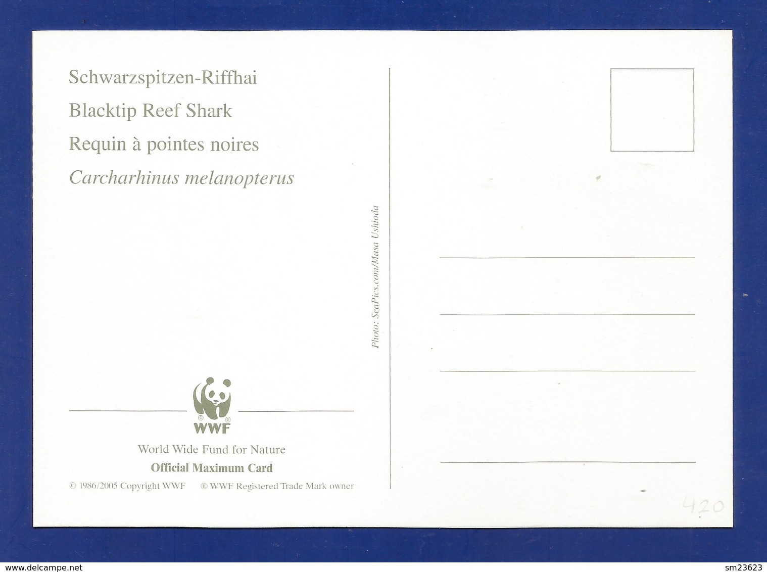 Australien / Cocos (Keeling) Islands  2005  Mi.Nr. 422 , Blacktip Reef Shark - WWF Maximum Card - 21 June 2005 - Cocos (Keeling) Islands