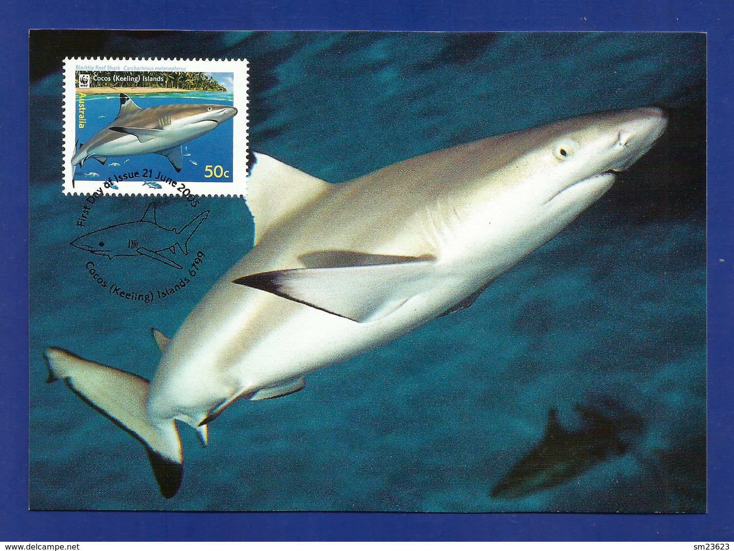 Australien / Cocos (Keeling) Islands  2005  Mi.Nr. 420 , Blacktip Reef Shark - WWF Maximum Card - 21 June 2005 - Cocos (Keeling) Islands