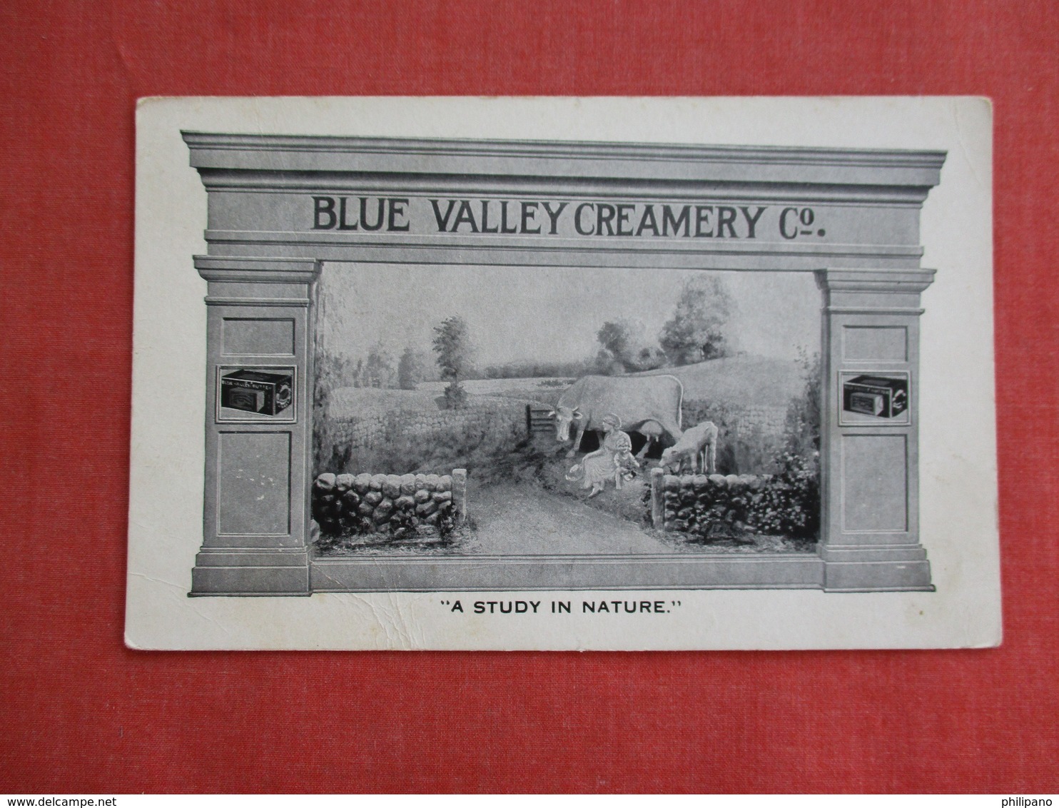 Blue Valley Creamery Chicago Il    Ref 3116 - Publicidad