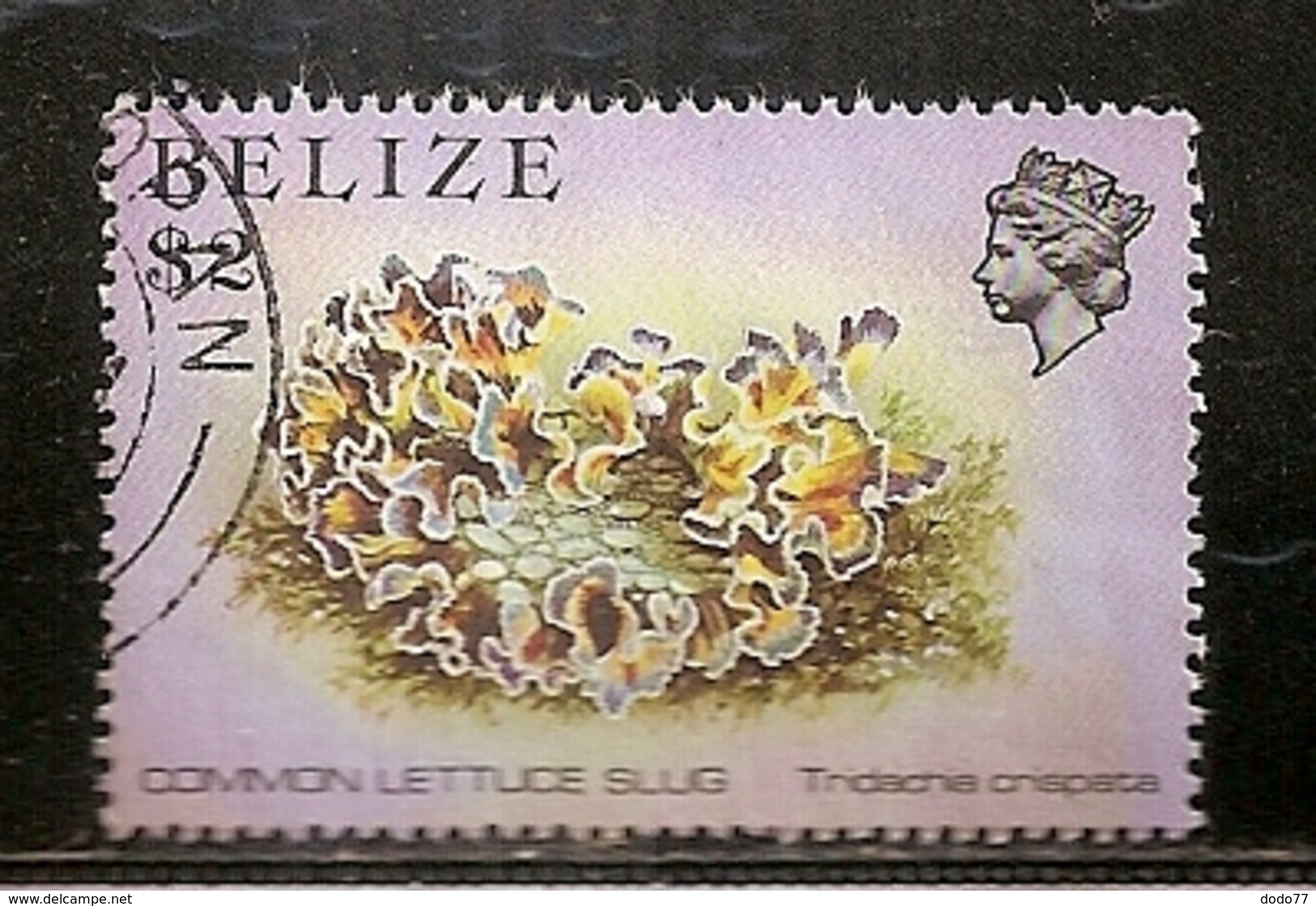 BELIZE   OBLITERE - Belize (1973-...)