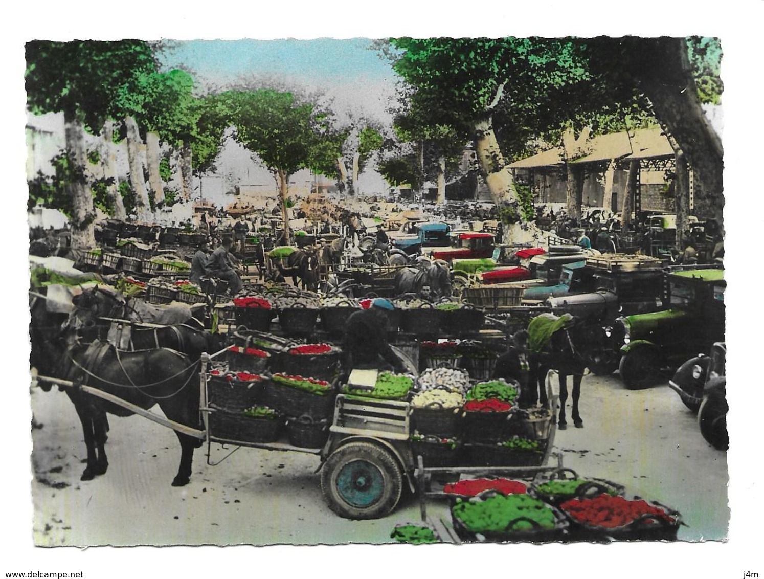 13/ BOUCHES Du RHONE... CHATEAURENARD: Un Coin Du Marché Aux Primeurs... AUTOMOBILES Anciennes, ATTELAGE Chevaux - Chateaurenard