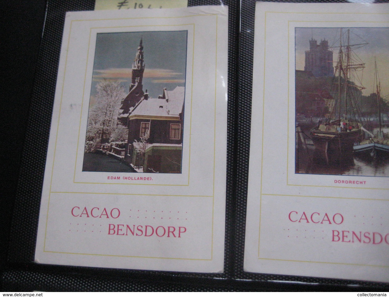 5 Cards,  13cm X 8,8cm  Advertising  C1900 CACAO COCOA BENSDORP Color Litho Photos From Hollande; FINE Condition - Other & Unclassified