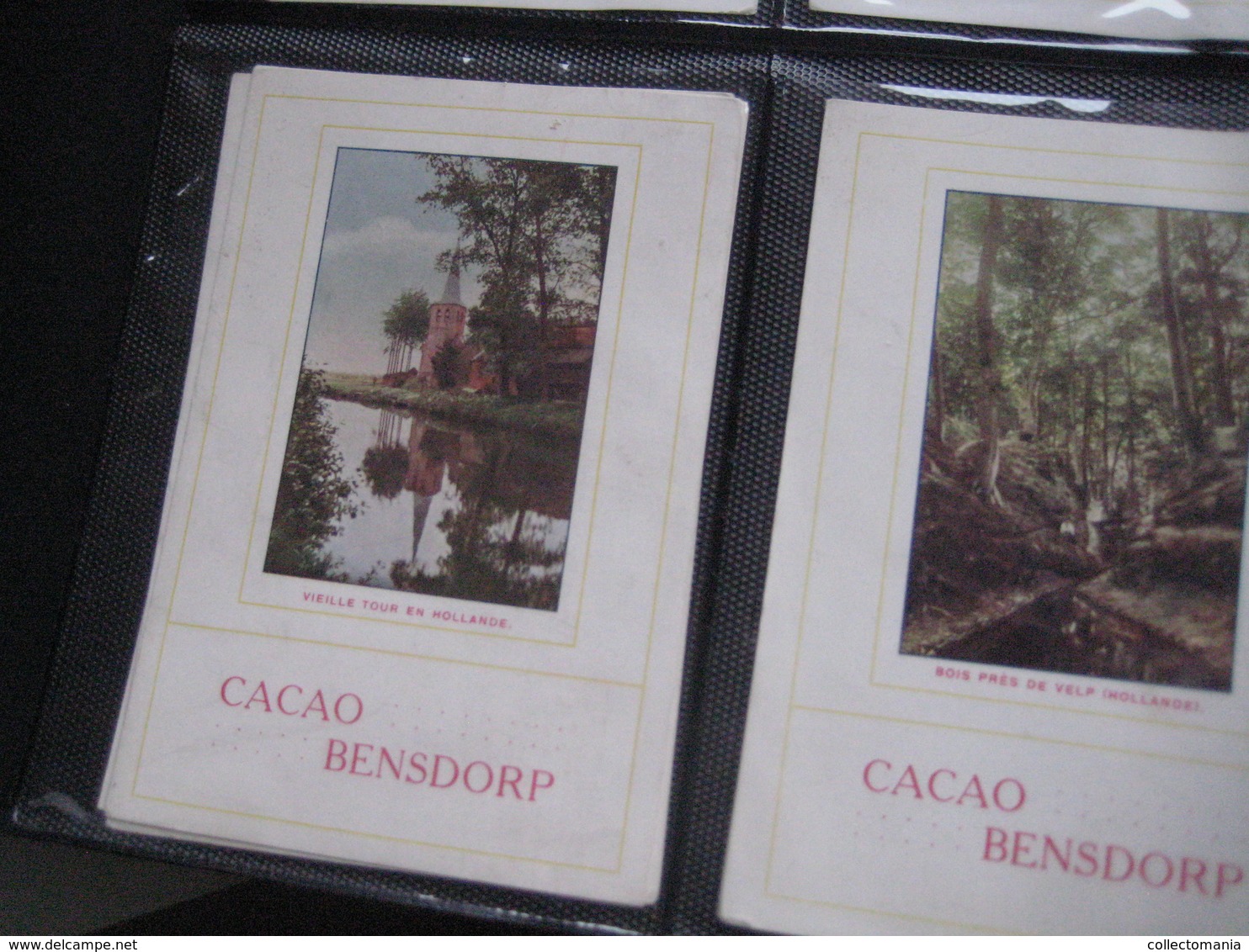 5 Cards,  13cm X 8,8cm  Advertising  C1900 CACAO COCOA BENSDORP Color Litho Photos From Hollande; FINE Condition - Other & Unclassified