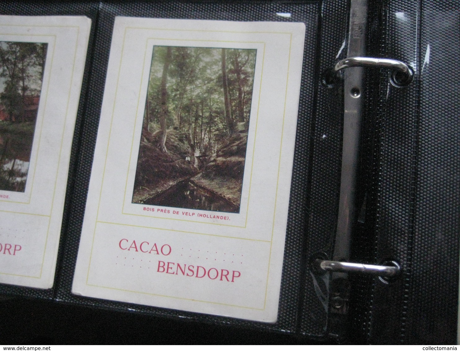 5 Cards,  13cm X 8,8cm  Advertising  C1900 CACAO COCOA BENSDORP Color Litho Photos From Hollande; FINE Condition - Other & Unclassified