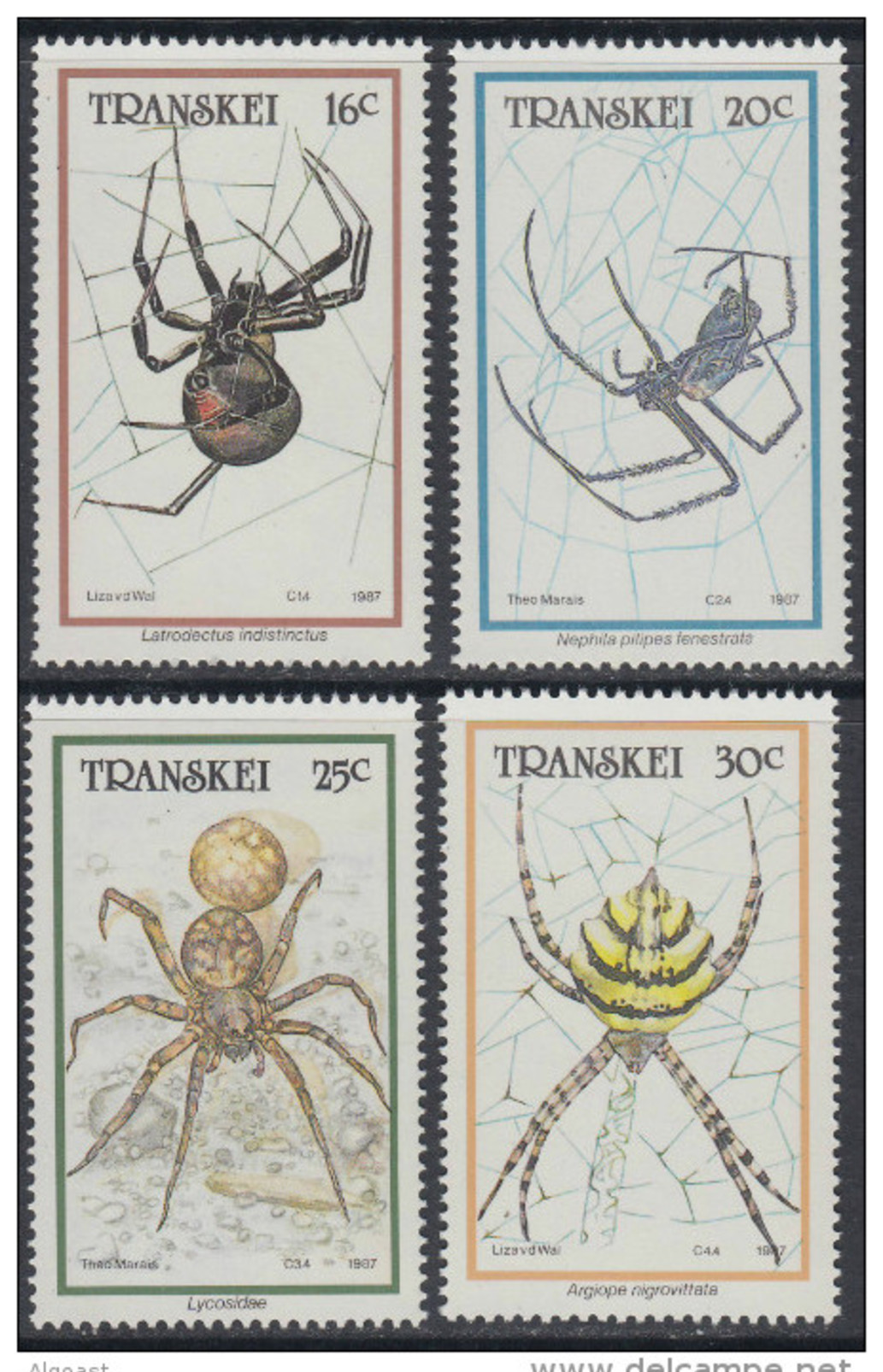 D10317 Transkei South Africa 1987 ARACHNIDS SPIDERS INSECTS MNH Set - Afrique Du Sud Afrika RSA Sudafrika - Transkei